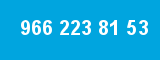966 223 81 53